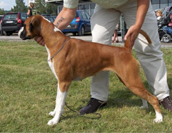 Image of fiona3