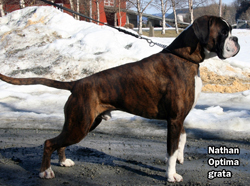 Image of NATHANvg