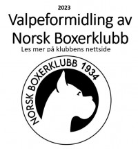 valpeformidling logo 2023