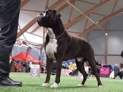 Varhaug 01.04.2023 - Kronion's Kratos Your Felix - CK 1.BHK BIR 
