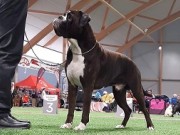 Varhaug 02.04.2023 - Kronion's Kratos Your Felix - CK 1.BHK BIR 