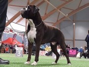 Orre 06.05.2023 - Kronion's Kratos Your Felix - BIR