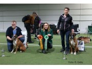 Norsk Boxerklubb sin spesialutstilling 25.03.2023 - Presentasjon av dagens vinnere 