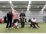 Norsk Boxerklubb avd. Oslo og Akershus sin spesialutstilling 26.03.2023 - Presentasjon av dagens vinnere .