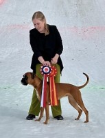 Birkeboxer Ingeborg 09.04