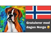 Gratulerer med nasjonal dagen! 