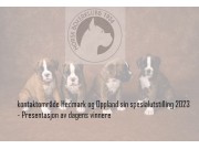 Norsk Boxerklubb kontaktområde Hedmark og Oppland sin spesialutstilling 21.05.2023 - Presentasjon av dagens vinnere