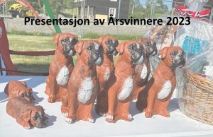 Arsvinnere 2023