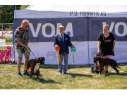 Norsk Boxerklubb avd. Østfold sin spesialutstilling 10.06.2023 - Presentasjon av vinnere