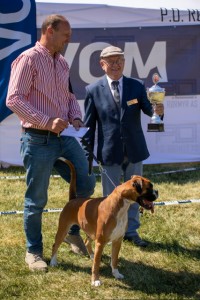 STFOLDBOXER 2023