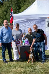 RSVINNER VALP hannhund