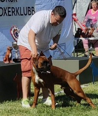 Kronion's Ramses Ramos Årsvinner Junior 2023