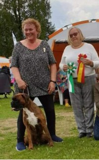 Ransæter, 30.07.23 CACIB kRONIONS pHOENIX 
