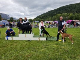 Boxerknock Jump For Joy gr4 12.08.23