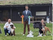 Norsk Boxerklubb kontaktområdet Vestfold sin spesialutstilling 09.09.2023 - Presentasjon av vinnere
