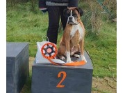 Farsund 30.09.2023 - Birkeboxer Othello - Rallylydighet kl 3. - 2.vinner