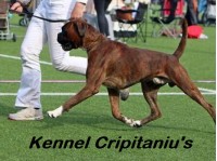Cripitaniu's