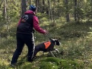 Lerum, Sverige 22.10.2023 - Engelaiz Joyride - Rundering/lägre sök  Klasse C- Godkjent, opprykk til B, 1. vinner