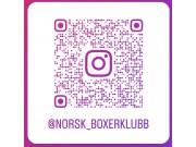 Følg oss på instagram