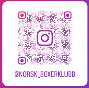 QRKODE INSTAGRAM