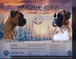 Nordic hope ekull
