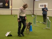 Provithallen, Ski 02.12.2023 - Von Ellinghaus Juno - Rallylydighet Elite. - 3. premie 158 poeng 