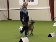 Provithallen, Ski 04.11.2023 - Von Ellinghaus Juno - Rallylydighet Elite. - 3. premie 170 poeng