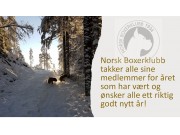 Godt nytt år!