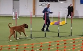 Nero Nordic Katla Our Star Skellefteå okt 23