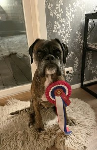Von Ellinghaus Juno cert rally