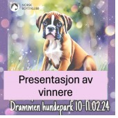 presentasjon av vinnere