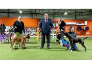 Presentasjon av vinnere på spesialutstilling i Drammen Hundepark 11.02.2024