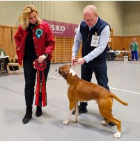 NUCH Boxerknock Jump For Joy