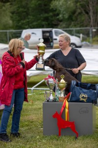 vandrepokal