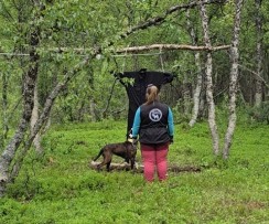 Sapmi Sista' Lula MH