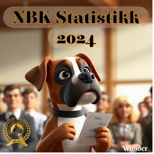 nbk statestikk 2024