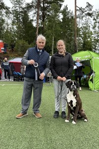 Birkeboxer Quince 7.7