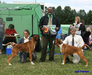 Image of Leangen2007BIRBIM