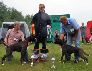 Image of Sandmoen2007BIRBIM