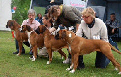Image of Sandmoen2007Oppdretterg