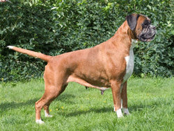Image of BogerudmyraElin