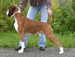 Image of Lista1