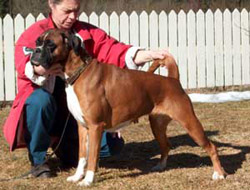 Image of bogerudmyras_elin