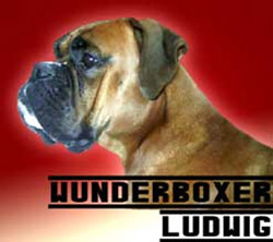 Image of wunderboxer_ludwig
