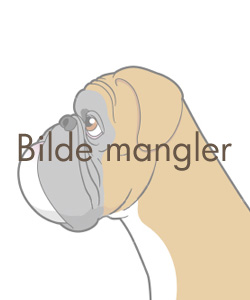 Image of bildemangler3