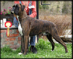 Image of BlackIndianNino