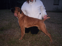 Image of AgnetheChiquita