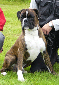 Image of Odin