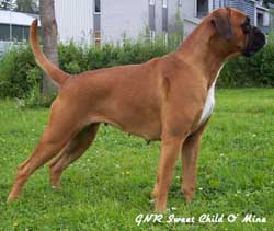 Image of lisel