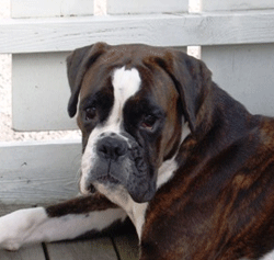 Image of MARTINE